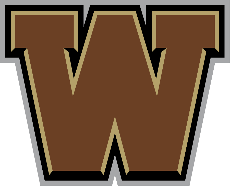 Western Michigan Broncos 2016-2021 Secondary Logo iron on transfers for T-shirts